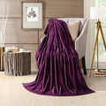 Fleece Plush Ac Blanket -D 08